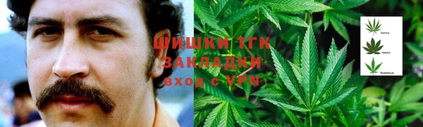 сатива Михайловка
